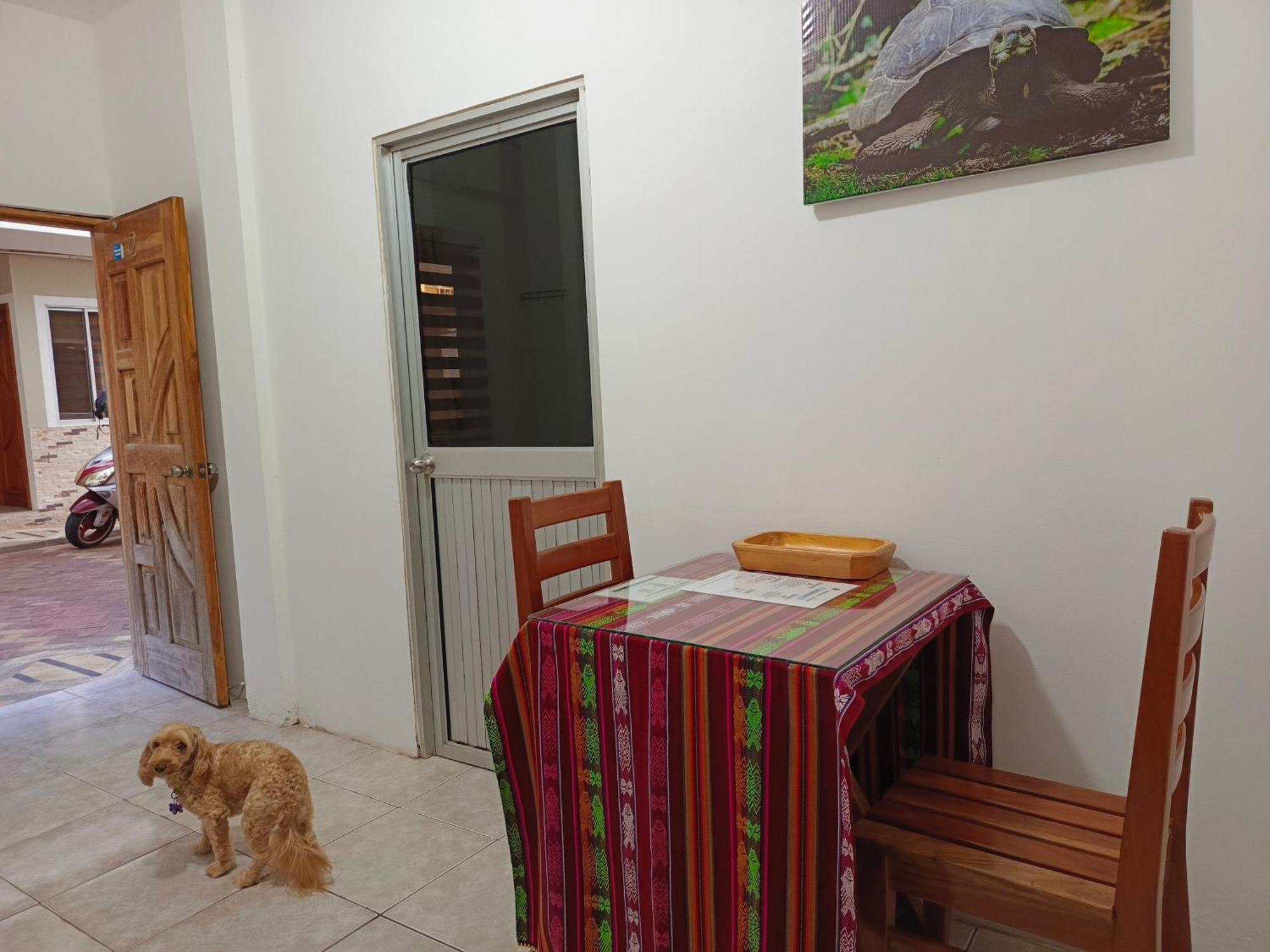 Teresita'S House Suites Con Cocina Privada Puerto Baquerizo Moreno Esterno foto